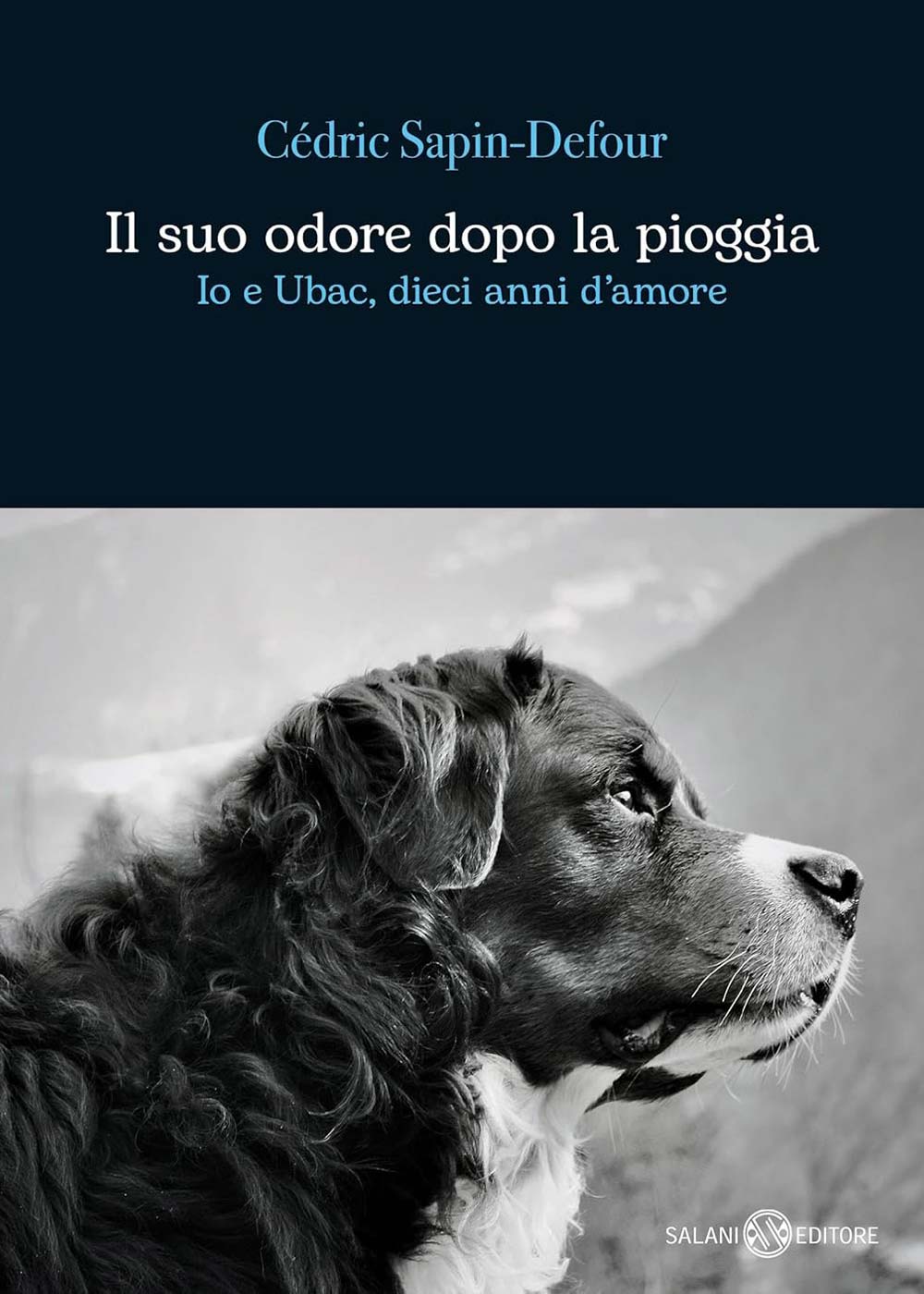 Il suo odore dopo la pioggia di Cédric Sapin-Defour | Corsi di ginnastica del benessere, ginnastica dolce, posturale, pilates, ginnastica per parkinson | Arti marziali cinesi, Taiji Quan, QiGong, DaoYin e difesa personale | Camin, Camponogara, Campolongo Maggiore, Dolo, Fossò, Fiesso d'Artico, Legnaro, Noventa Padovana, Padova, Ponte di Brenta, Ponte San Niccolò, Sandon, Venezia, Vigonovo, Villatora, Saonara, Stra.